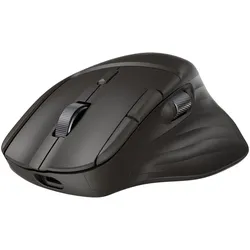 HP ultraschnelle, schnurlose Scrollmaus 785M