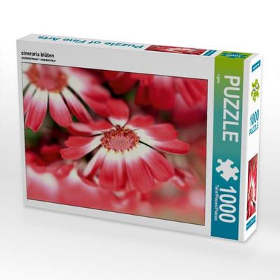 CALVENDO Puzzle cineraria blüten | 1000 Teile Lege-Größe 64x48cm Foto-Puzzle für glückliche Stunden
