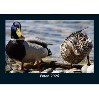 Enten 2026 Fotokalender DIN A5