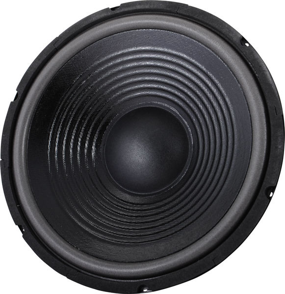 the box 12" Speaker TT305-H