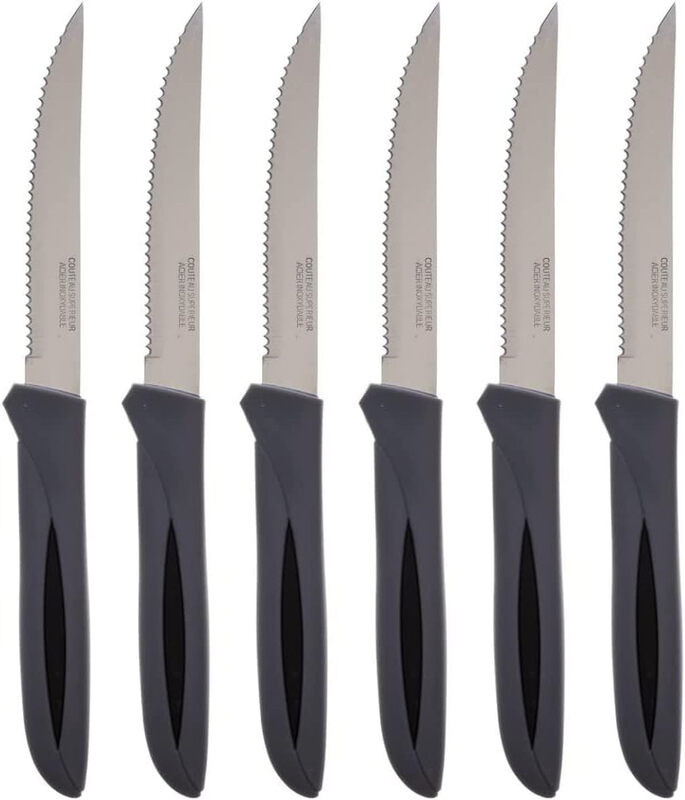 Secret de Gourmet Steakmessenset - 6 stuks - Roestvrij staal - 21 cm