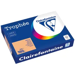 Clairefontaine Kopierpapier 1011PC A4 160g aprikose 250 Blatt