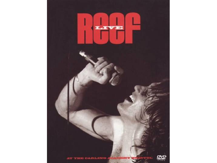 Reef - Live
