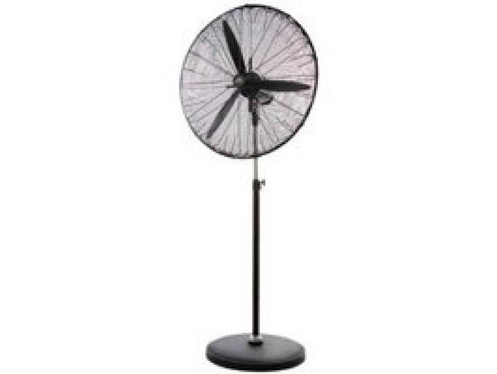 Ventilador de Pie Orbegozo PWS 0167 180W 3 Velocidades Oscilante Silencioso Hierro Fundido