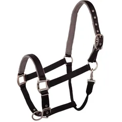 BR Equestrian Equipment, Halfter