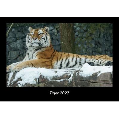Tiger 2027 Fotokalender DIN A3