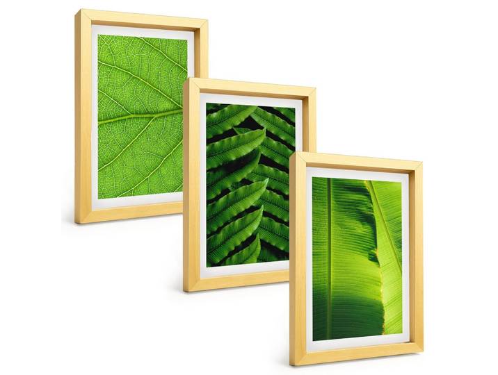 BILDER SET 3er Set - 20x30 cm Goldrahmen - Makrofotografie von tropischen Blättern