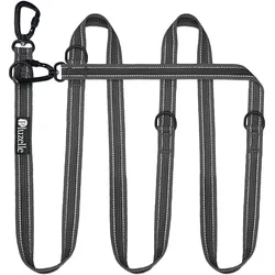 Bluzelle 3m Hundeleine, Doppelleine Führleine mit Karabiner, Verstellbar, Halsband + Leine