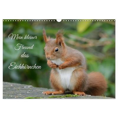 Mein kleiner Freund das Eichhörnchen (Wandkalender 2027 DIN A3 quer), CALVENDO Monatskalender