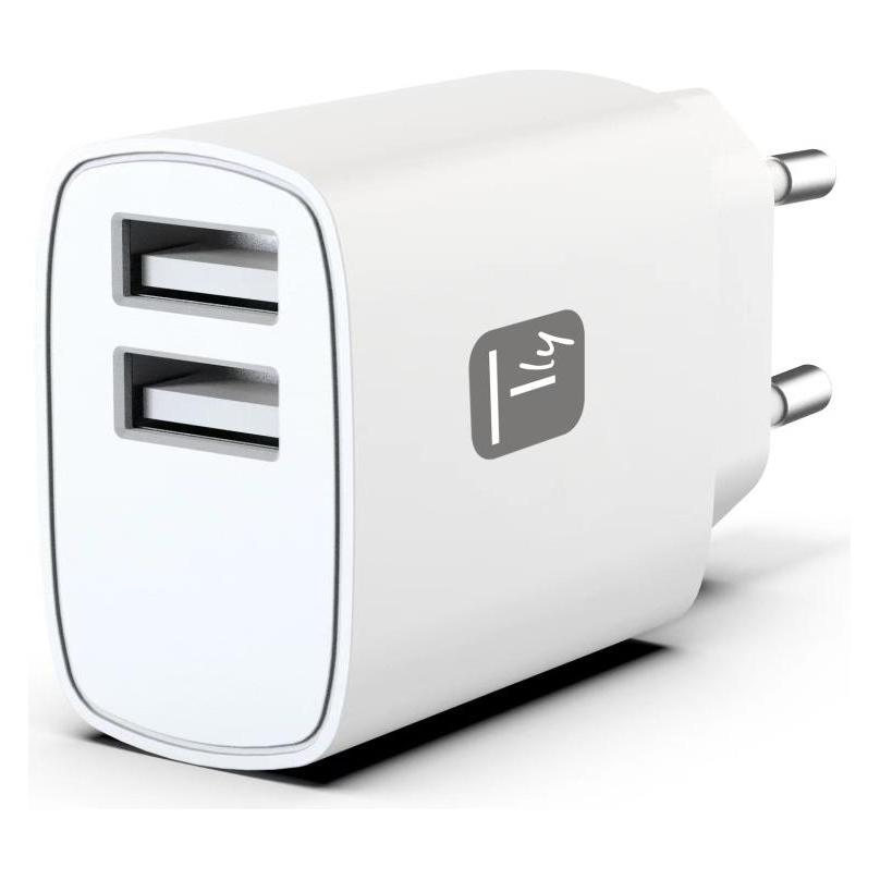 Techly IPW-USB-12W2A (12 W, 2 Ports) (IPW-USB-12W2A)
