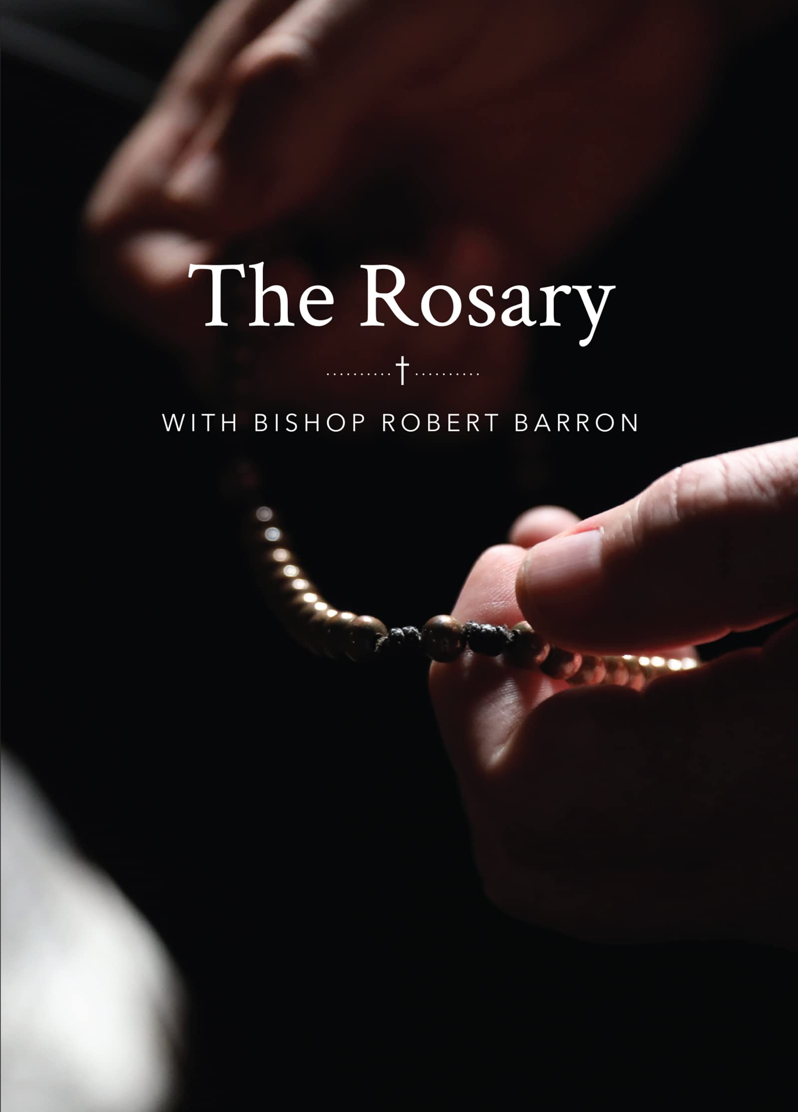 The Rosary with Bishop Barron - Preis vom 30.09.2026 22:30:23 h
