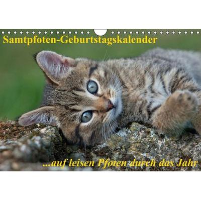 Samtpfoten / Geburtstagskalender (Wandkalender immerwährend DIN A4 quer)