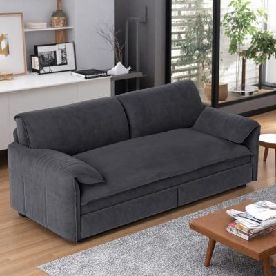 "66"" Velvet 3-in-1 Queen Pull-Out Sleeper Loveseat Sofa with Side Storage"