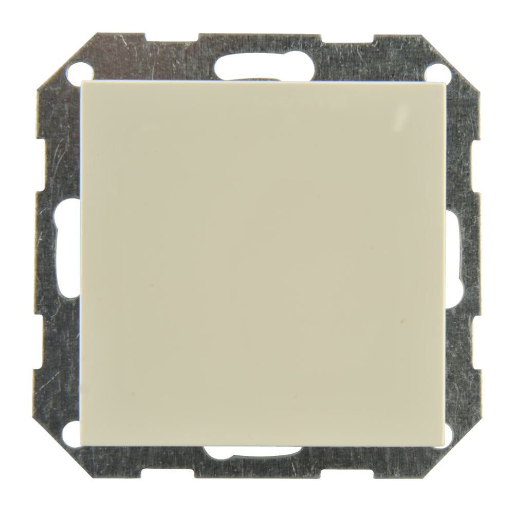 Gira Afdekplaat CWS-GL 026801
