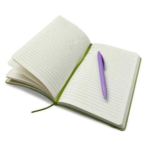 Blasetti Notizbuch One Color A5, weicher Kunstledereinband (A5, Liniert, Weicher Einband) (8741)