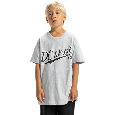 T-Shirt DC SHOES "Substitute", Kinder, Gr. 10(140-148cm), grau (light erdgrau), Obermaterial: 75% Baumwolle, 25% Baumwolle., Shirts T-Shirt