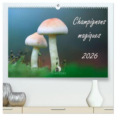 Champignons magiques (Calendrier mural haut de gamme 2027 DIN A2 vertical), CALVENDO calendrier mensuel