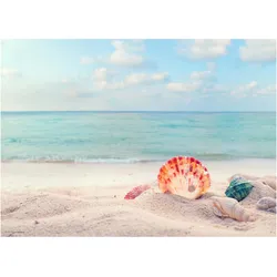 CoverYourDesk, Unterlage, Schreibtischunterlage Traumstrand mit Muscheln