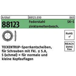 Teckentrup, Muttern + Unterlegscheiben, Sperrkantscheibe R 88123 S 10x20,25x1,6 Federstahl zinklamellenbeschichtet