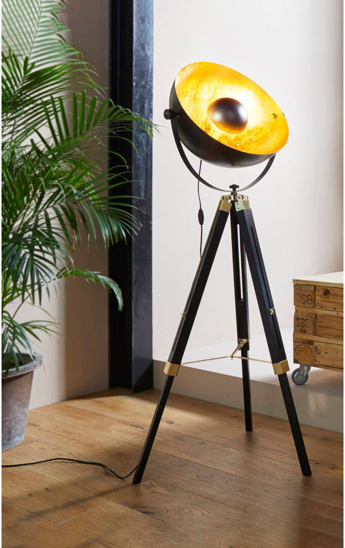 Borough Wharf Bush 164 H cm Matte Tripod Floor Lamp Black 164cm H X 55cm W X 55cm D