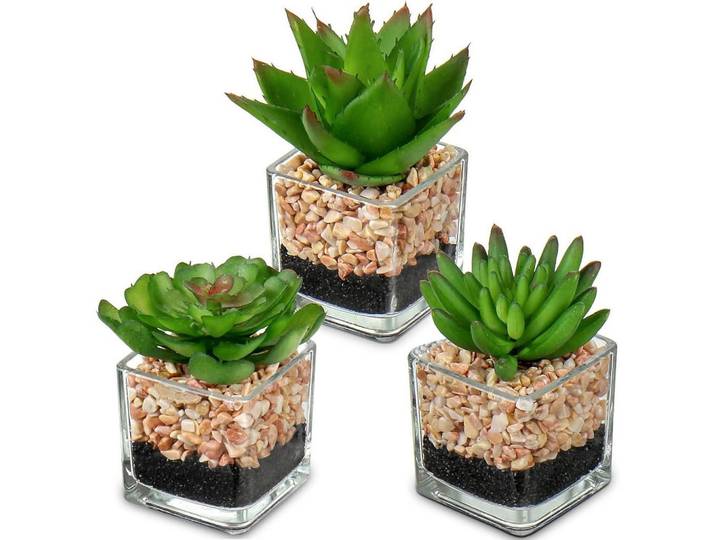 Kunstpflanzen 3er Set im Glastopf, Mehrfarbig, Kunststoff, 5.5 cm, Dekoration, Blumen & Blumentöpfe, Kunstpflanzen