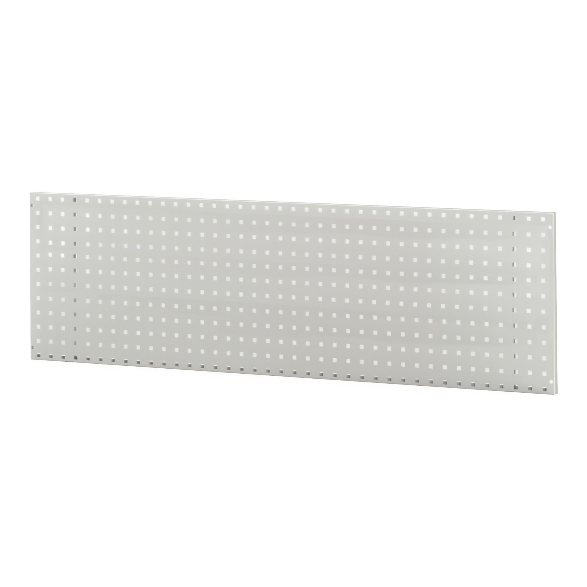 Rau Lochplatte für Wandmontage BxTxH 1000x15x450mm (09-L1000.12)
