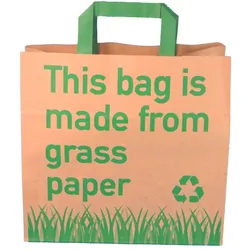 250 Graspapier Tragetaschen Papiertragetaschen mit Grasanteil 26+17x25cm mit Neutralmotiv