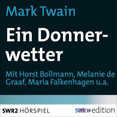 Ein Donnerwetter - Mark Twain, Audio, 9783956154539