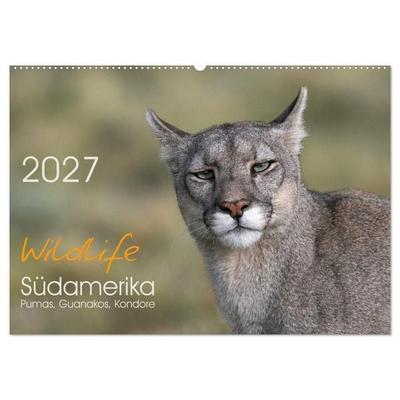 Wildlife Südamerika (Wandkalender 2027 DIN A2 quer), CALVENDO Monatskalender