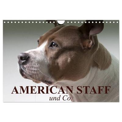 American Staff und Co. (Wandkalender 2027 DIN A4 quer), CALVENDO Monatskalender