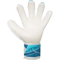 Reusch, Torwarthandschuhe, (10)
