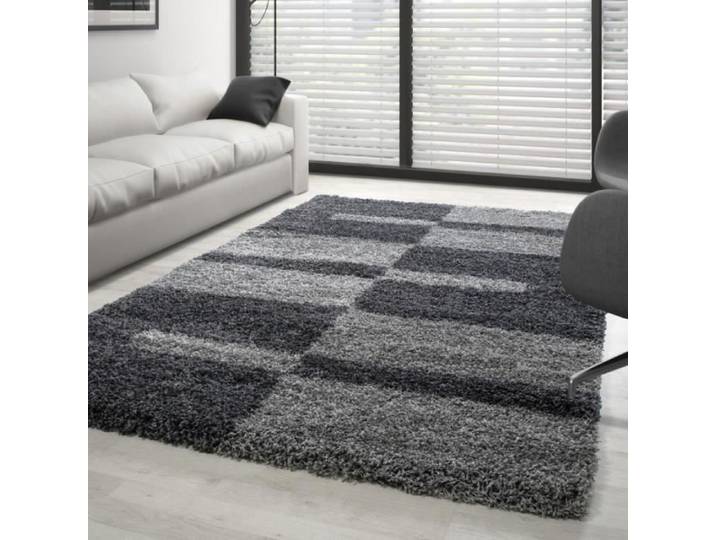 Tapis Shaggy - Gala - Gris-Gris Clair - 160x230 cm - Pile Longue - Intérieur