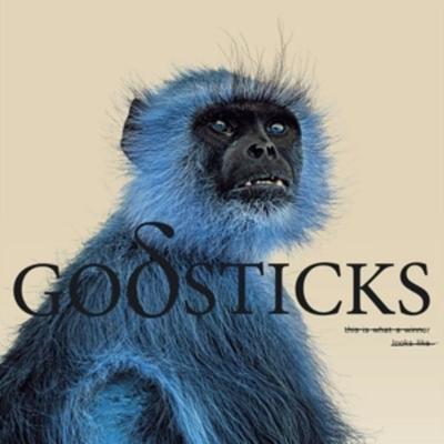 This Is What A Winner Looks Like (Digipak) - Godsticks, CD