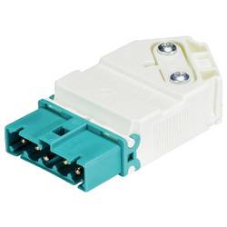 Wieland Electric 91.952.3653.0 Steckverbinder Türkisblau