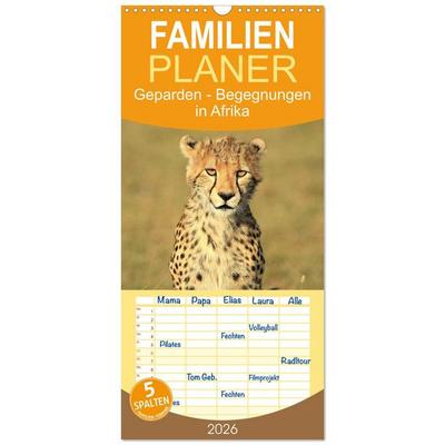 Familienplaner 2026 - Geparden - Begegnungen in Afrika mit 5 Spalten (Wandkalender, 21 x 45 cm) CALVENDO