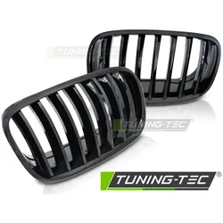 Sportgrill Schwarz glänzend passend für BMW X5 E70 X6 E71 08-