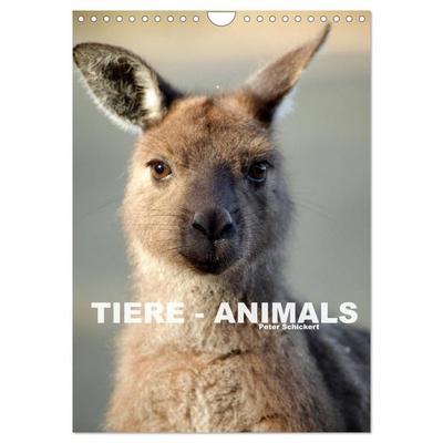 Tiere - Animals (Wandkalender 2027 DIN A4 hoch), CALVENDO Monatskalender