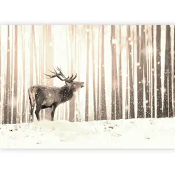 Fototapete Deer in the Snow Weiß/Beige