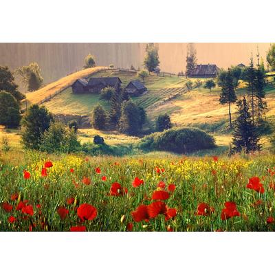 Fototapete PAPERMOON "Neblige Sommerlandschaft", bunt, B:4m L:2,6m, Vlies, Tapeten