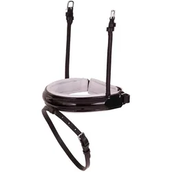BR Equestrian Equipment, Halfter