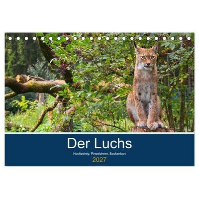Der Luchs - Hochbeinig, Pinselohren, Backenbart (Tischkalender 2027 DIN A5 quer), CALVENDO Monatskalender