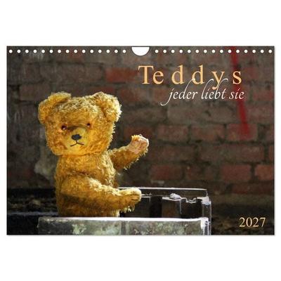 Teddys...jeder liebt sie (Wandkalender 2027 DIN A4 quer), CALVENDO Monatskalender