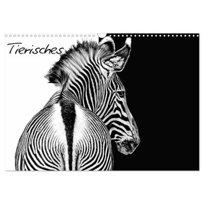 Tierisches (Wandkalender 2026 DIN A3 quer), CALVENDO Monatskalender