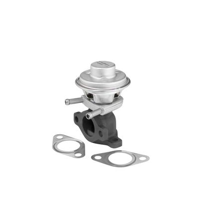 BORGWARNER AGR-Ventil 712069D für Iveco