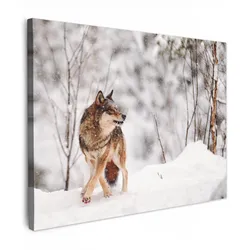 LEINWANDBILD Wolf - Winter - Schnee - Natur - Tiere Wandbilder 80x60 cm
