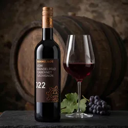Hammel & Cie 2022 Christoph Hammel Dirmsteiner Mandelpfad Cabernet Sauvignon 2022 Cabernet Sauvignon Deutschland