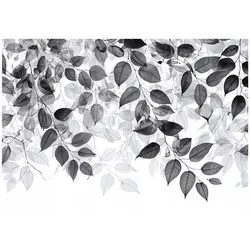 FOTOTAPETE Blätter Schwarz Weiß Wohnzimmer 400x280