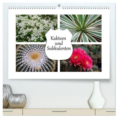 Kakteen und Sukkulenten (hochwertiger Premium Wandkalender 2027 DIN A2 quer), Kunstdruck in Hochglanz