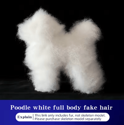 Inspire Picks ProGroom Standard Poodle Practice Model Full Body Grooming Training Dog With Skeleton Structure poodle Hair White