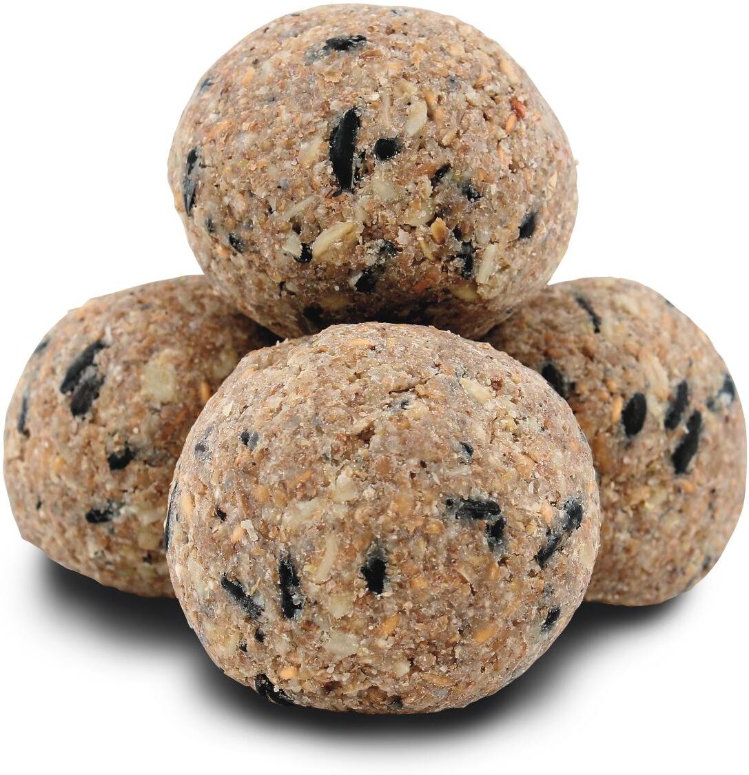 Premiere Palle di Grasso per Uccelli 600G VERMI DELLA FARINA